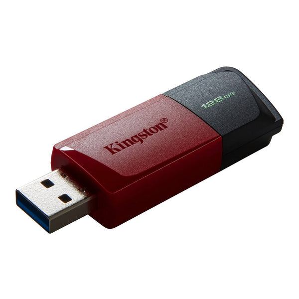 Kingston Kingston DTXM/128GB DataTraveler Exodia M USB 3.2 Flash Drive Default Title
