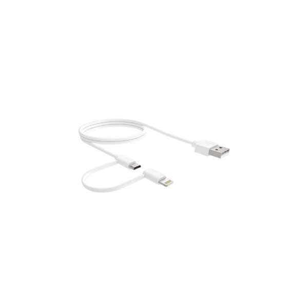 6' 2-in-1 Lightning and Micro USB Sync/Charging Cable