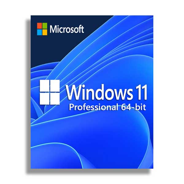Microsoft Microsoft FQC-10529 Windows 11 Professional 64-bit OEM Default Title
