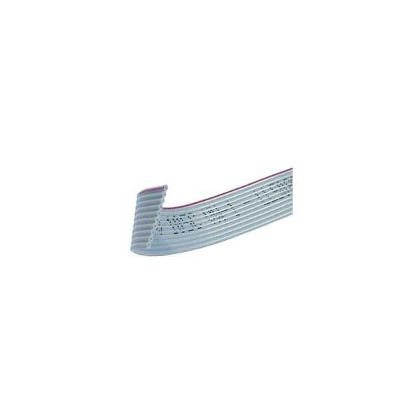 10 Conductor Flat Ribbon Cable
