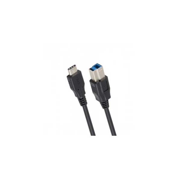 SYBA SYBA IOCrest 3' USB 3.1 Type C to USB 3.0 Type B Cable Default Title
