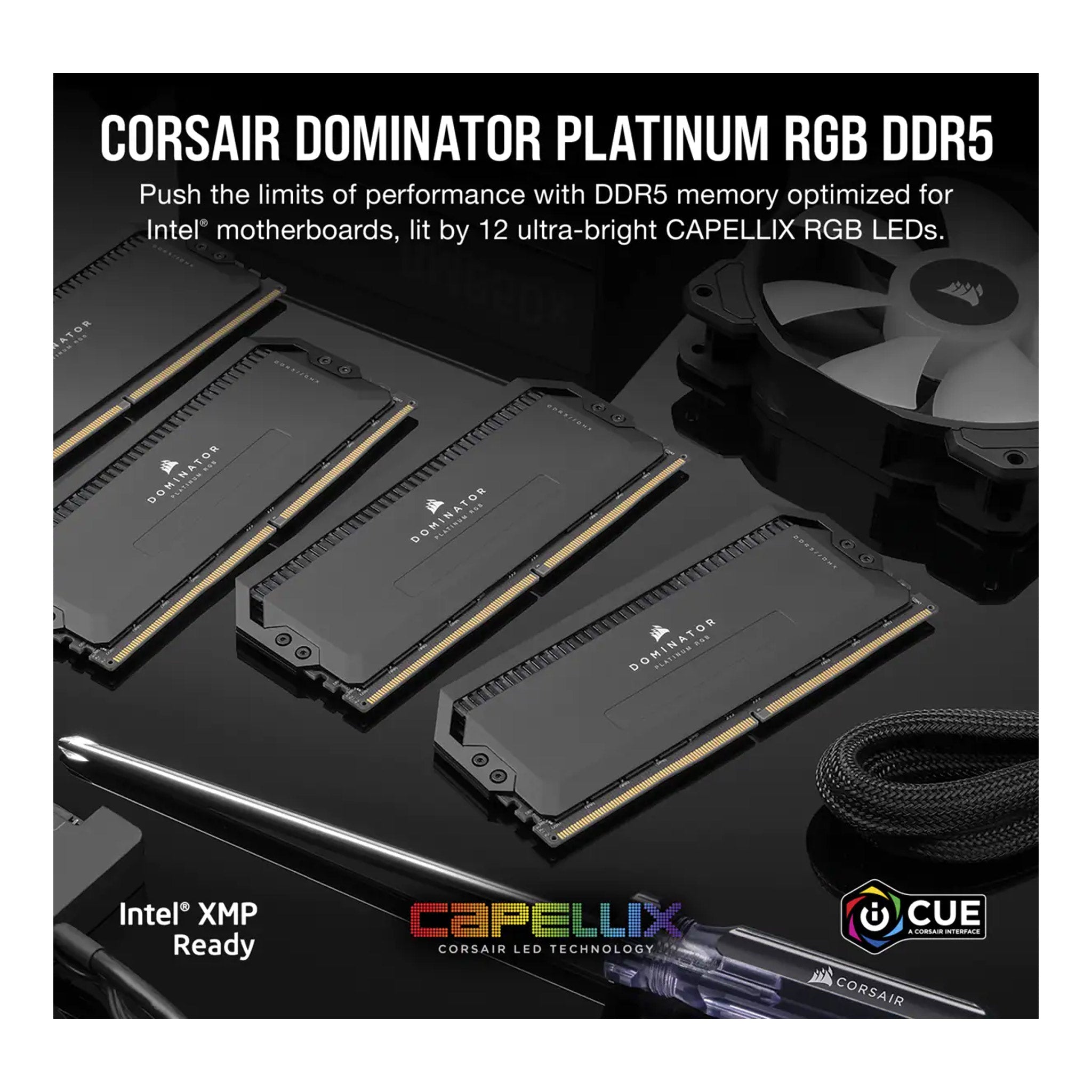 corsair-cmt64gx5m2b5600c40-