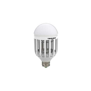 6458 - Altex Computers & Electronics