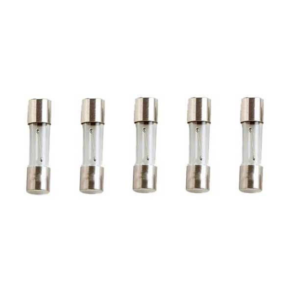 10pcs T12AH250V, 5*20mm Ceramic Body Time-Lag Axial Lead Fuse for LCD