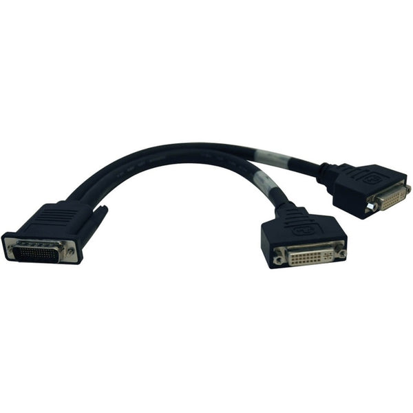 Tripp Lite Tripp Lite 1ft Digital Media Systems Splitter Cable DMS-59 to 2x DVI-I F 1' Default Title
