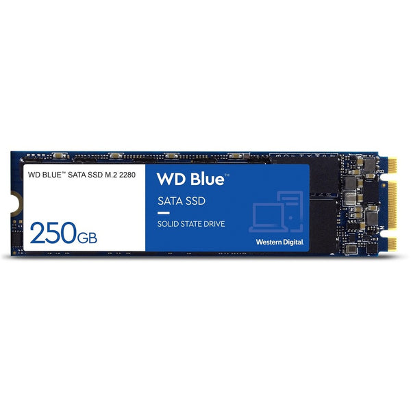 Western Digital Western Digital WDS250G2B0B Blue 250GB Solid State Hard Drive Default Title
