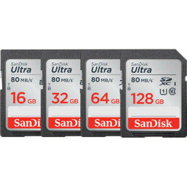 SanDisk Ultra 32 GB Class 10/UHS-I SDHC Flash Memory