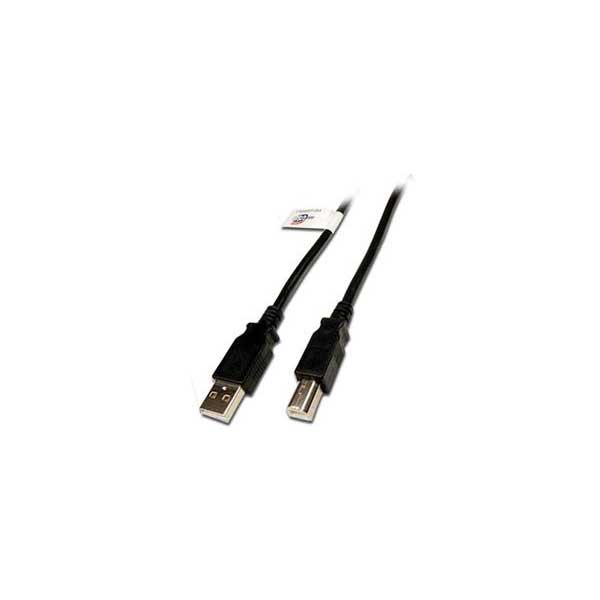 USB 2.0 A Male / B Male Cable - 3'